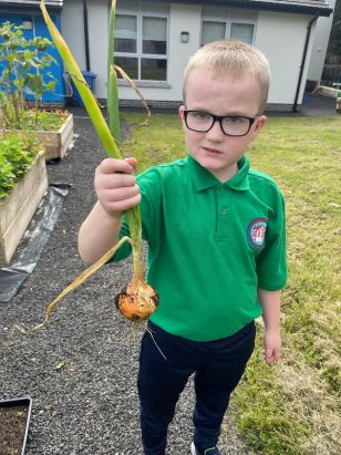 🥕Outdoor Learning - Harvesting our Vegetables🥕